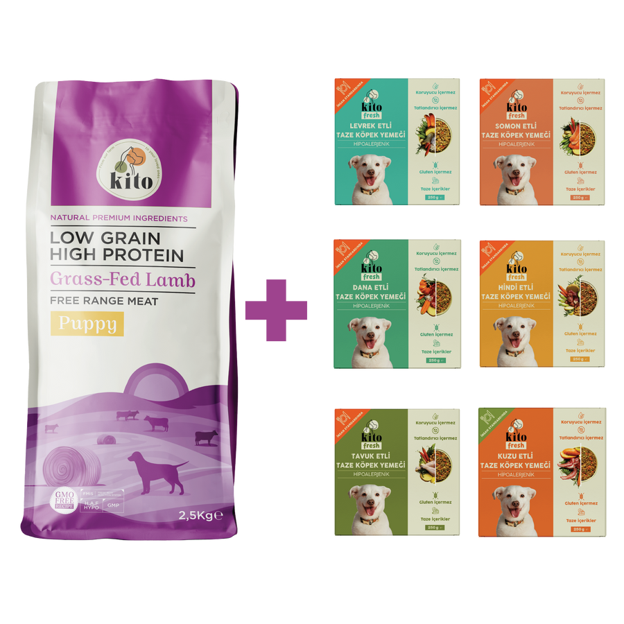 Puppy Food 2,5 KG + Kito Fresh Introductions Package