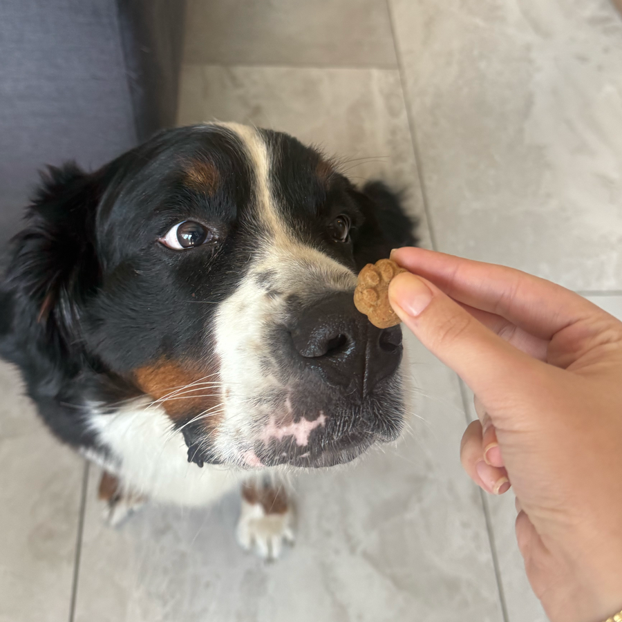 Kito Brokoli & Havuç & Elma Cookie 100 gr