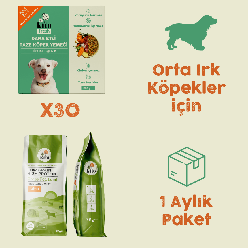 Orta Irk Köpekler için Aylık Mama Paketi