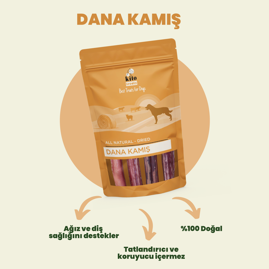 Kito Dana Kamış Çiğnemelik Köpek Ödül Maması %100 Doğal, Glutensiz, Organik 100 gr