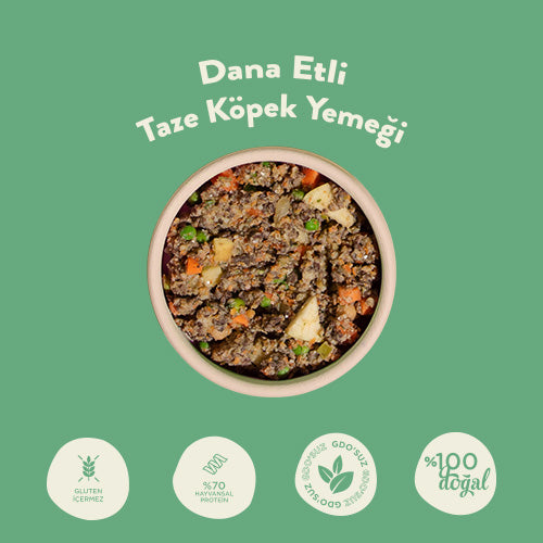 Dana Etli Taze Köpek Yemeği