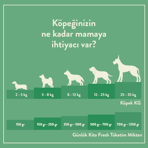 Puppy Food 2,5 KG + Kito Fresh Dog Food with Beef X 6