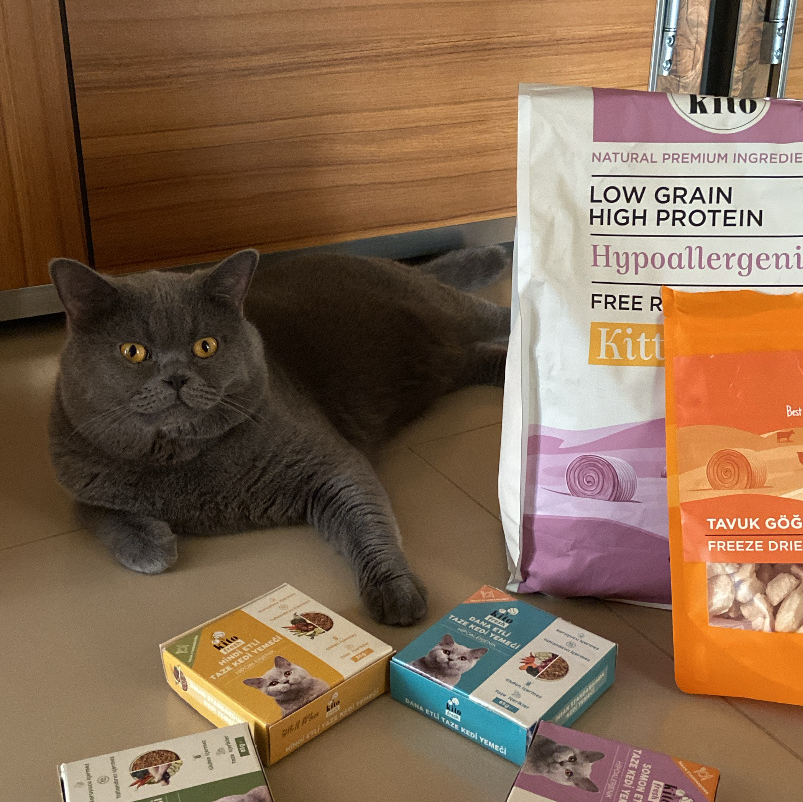3 Günde 1 Sevindir Paketi Kito Fresh Dana Etli Kedi Yemeği 85 gr (10 Adet)