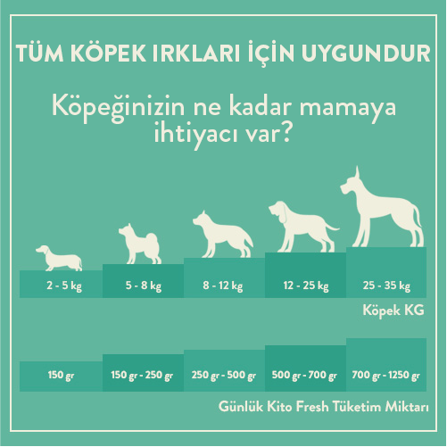 3 Günde 1 Sevindir Paketi Kito Fresh Levrek Etli Köpek Yemeği 250 gr (10 Adet)