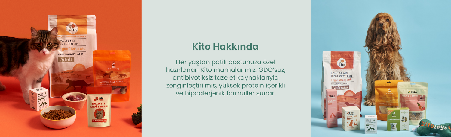 Kito Hakkında Banner