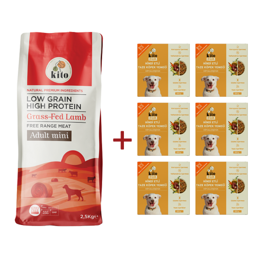 Kuzu Etli Yetişkin Mini Irk Köpek Maması 2.5 KG + 6 Adet Kito Fresh Hindi Etli %100 Taze İçerikli Mama