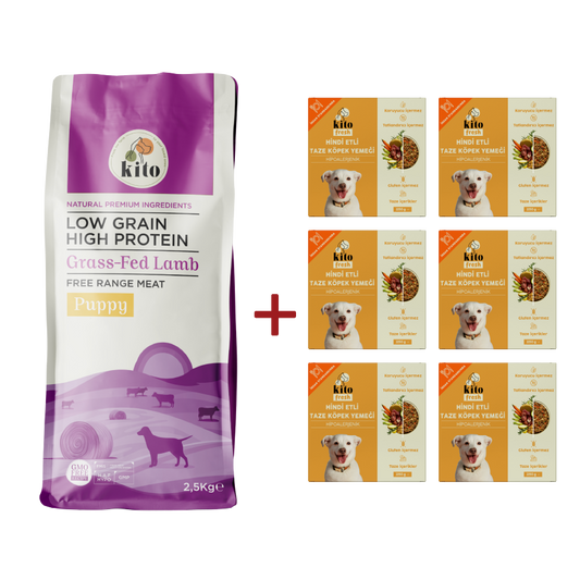 Kuzu Etli Yavru Köpek Maması 2.5 KG + 6 Adet Kito Fresh Hindi Etli %100 Taze İçerikli Mama