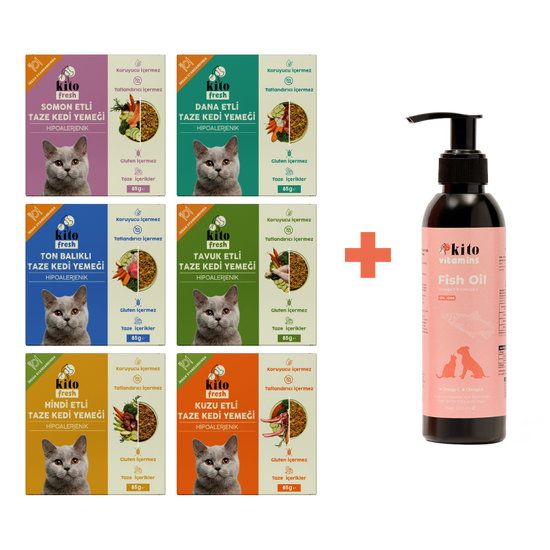 Kediler İçin Fresh Tanışma ve Balık Yağı