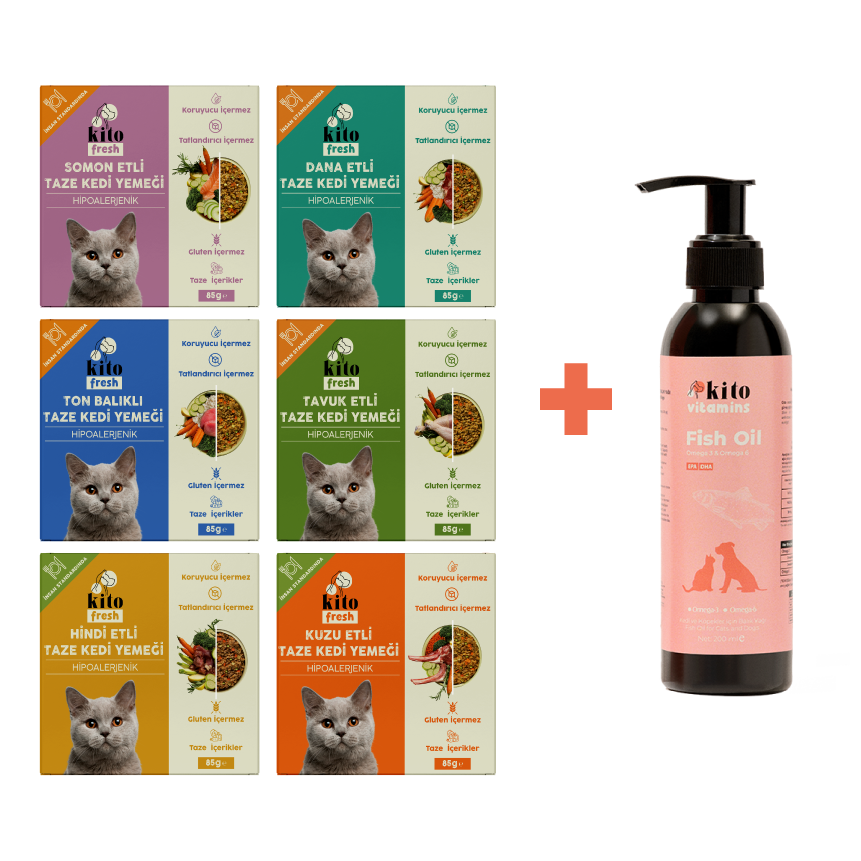 Kediler İçin Fresh Tanışma ve Balık Yağı