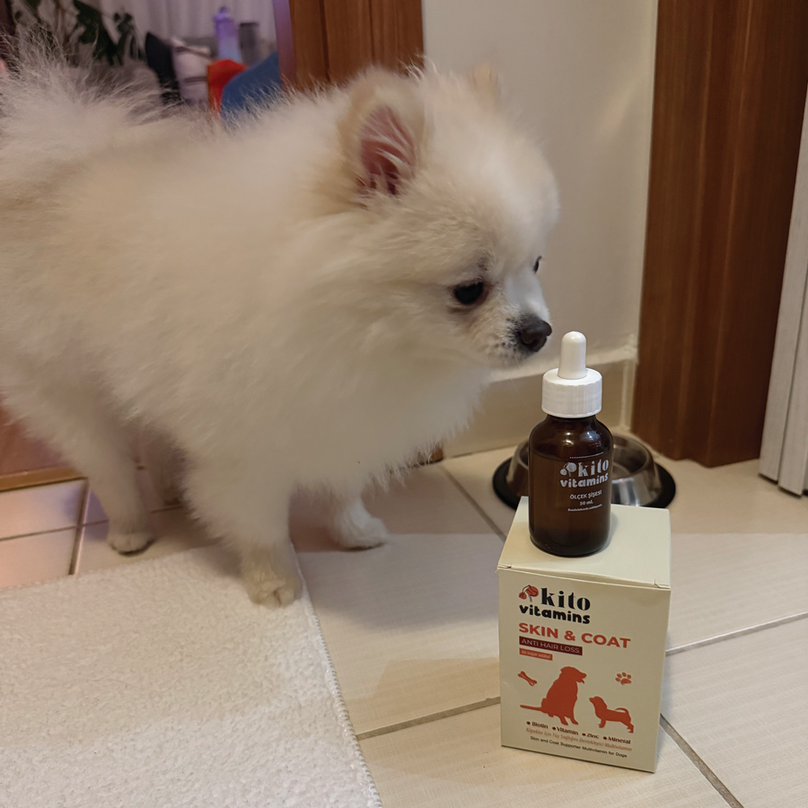 Kito Skin & Coat Köpekler için Tüy Sağlığını Destekleyici Multivitamin