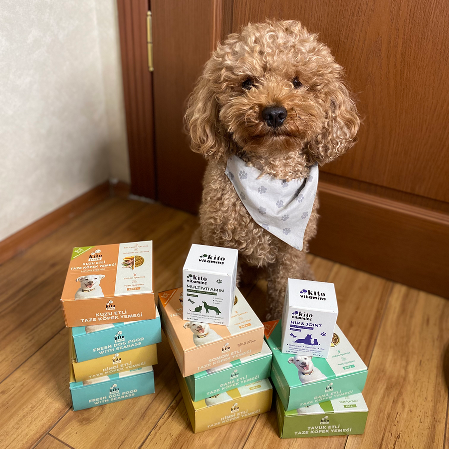 3 Günde 1 Sevindir Paketi Kito Fresh Kuzu Etli Köpek Yemeği 250 gr (10 Adet)