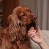 Kito Dana Akciğer Küp Atıştırmalık Köpek Ödül Maması %100 Doğal, Glutensiz, Organik 100 gr