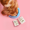 Köpekler için Kito Fresh Tanışma Paketi + Kito Multivitamin Bağışıklık Sistemi Destekleyici