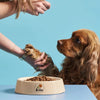 Puppy Food with Grass-Fed Lamb 2,5 kg