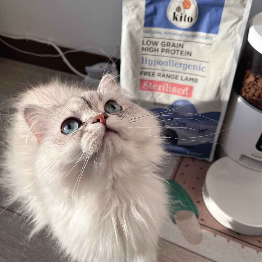 Kito Doğal Besi Kuzu Etli Kısır Kedi Maması 8 Kg