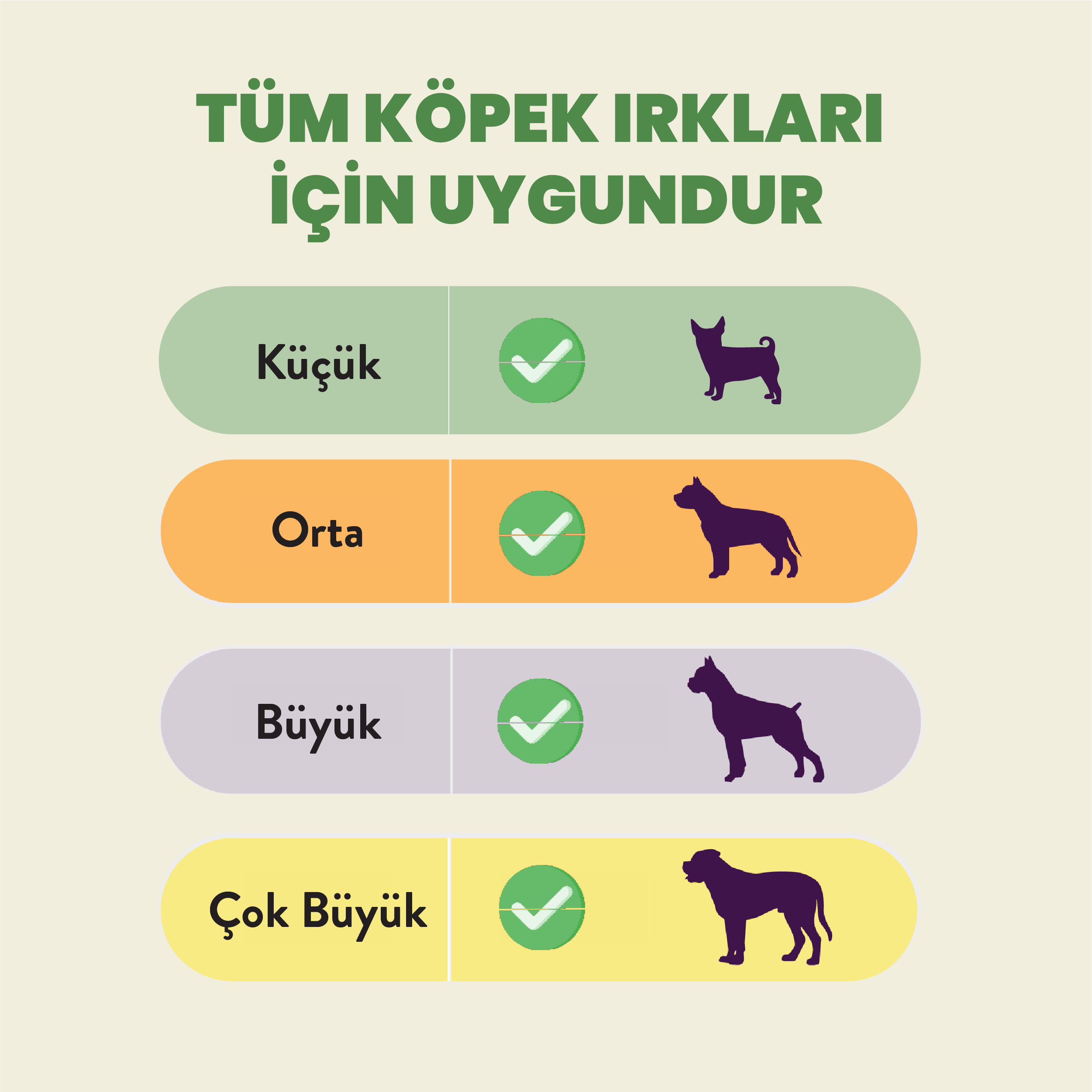 Büyüt
