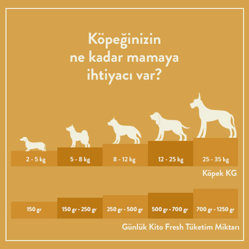 Adult Dog Food 2,5 KG + Kito Fresh Dog Food with Turkey X 6