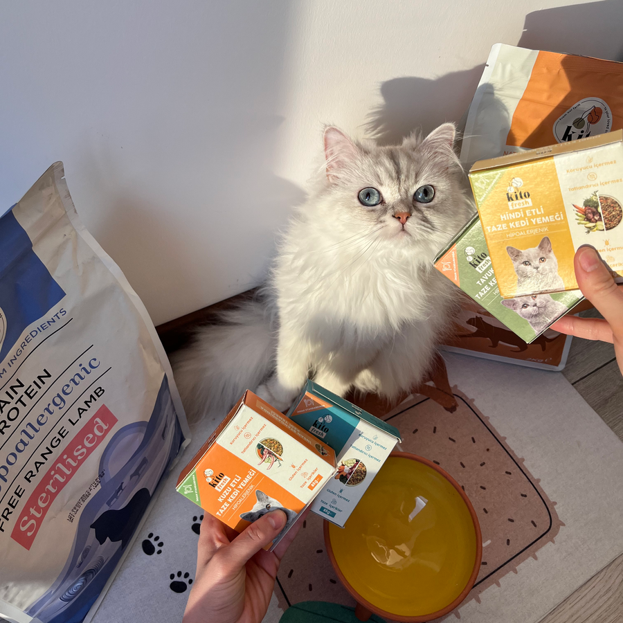 Kito Fresh Kuzu Etli Kedi Yemeği 85 gr