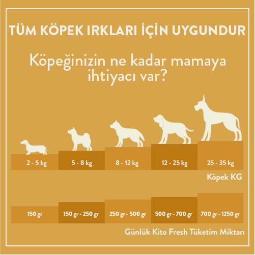 3 Günde 1 Sevindir Paketi Kito Fresh Hindi Etli Köpek Yemeği 250 gr (10 Adet)
