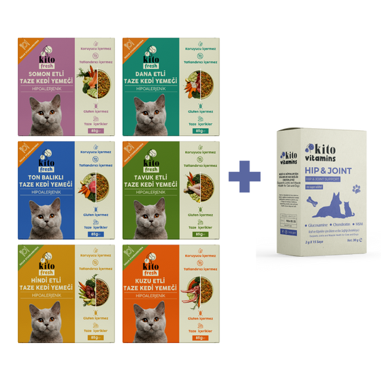 Kediiler İçin Fresh Tanışma ve Hip Joint