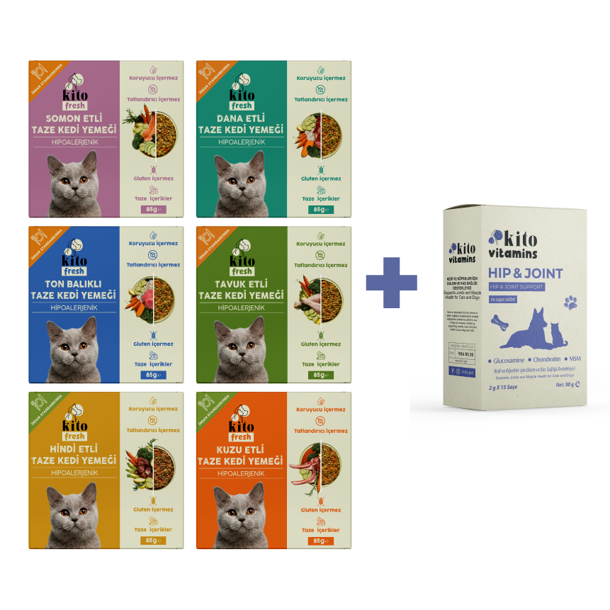 Kediiler İçin Fresh Tanışma ve Hip Joint