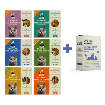 Kediiler İçin Fresh Tanışma ve Hip Joint