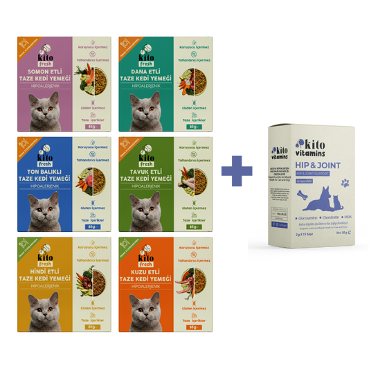 Kediiler İçin Fresh Tanışma ve Hip Joint
