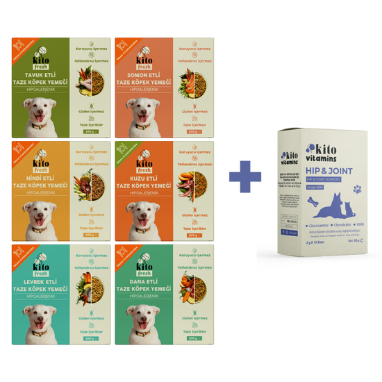 Köpekler İçin Fresh Tanışma ve Hip Joint