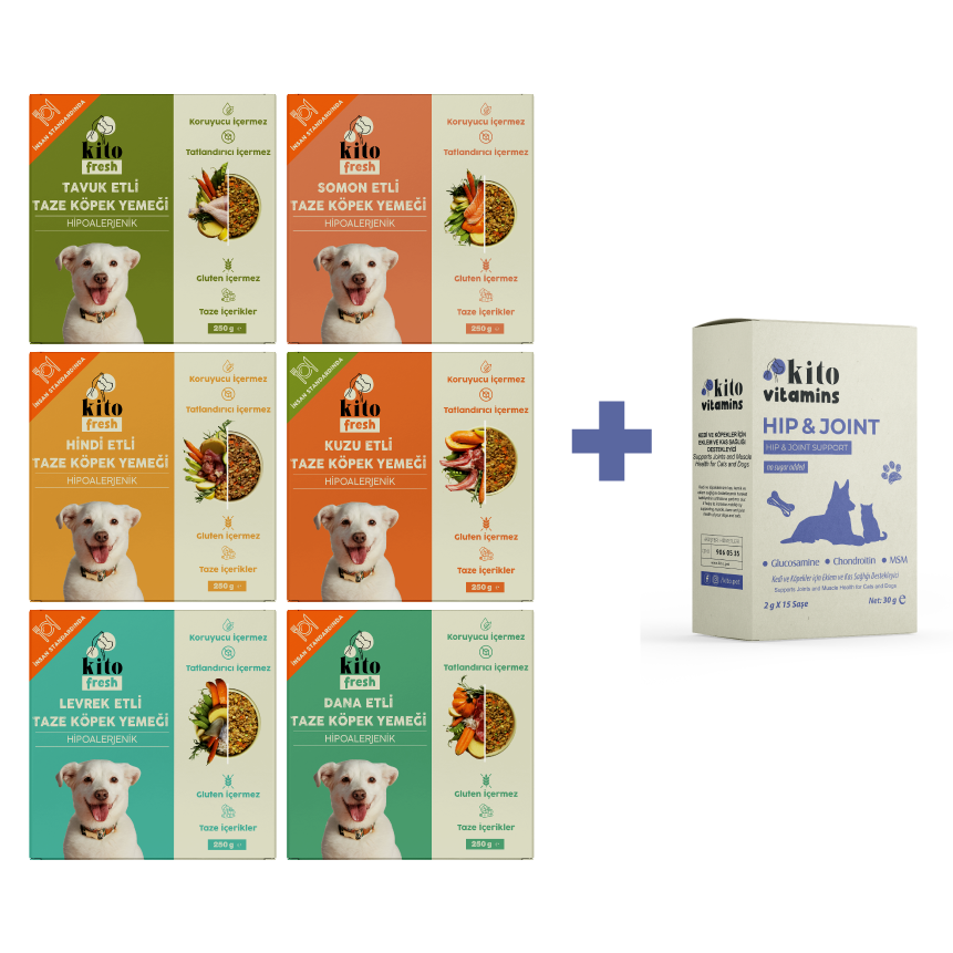 Köpekler İçin Fresh Tanışma ve Hip Joint