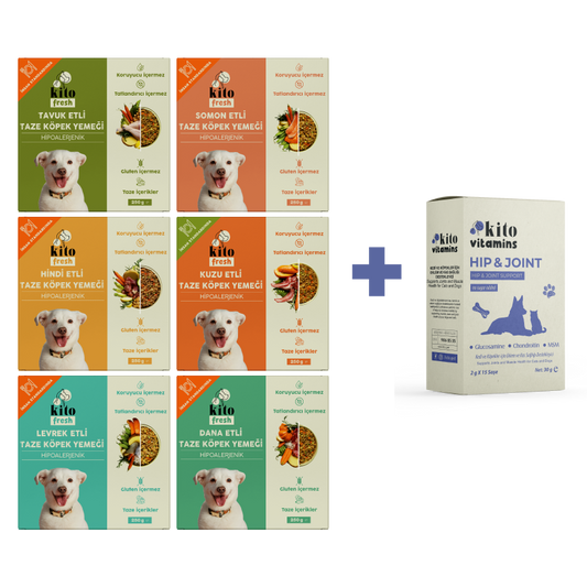 Köpekler İçin Fresh Tanışma ve Hip Joint