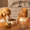 Kito Fresh Dana Etli Köpek Yemeği %100 Taze İçerikli Mama 250 gr