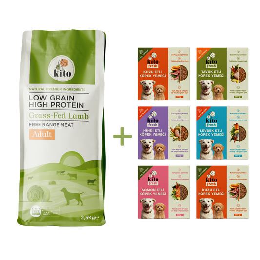 Adult Dog Food 2,5 KG + Kito Fresh Introduction Package