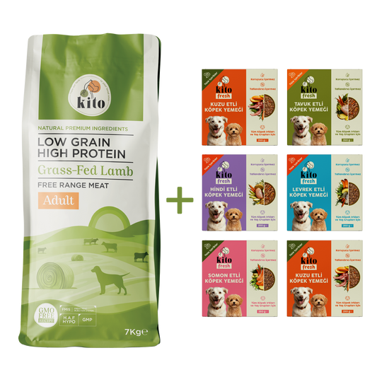 Adult Dog Food 7 KG + Kito Fresh Introduction Package