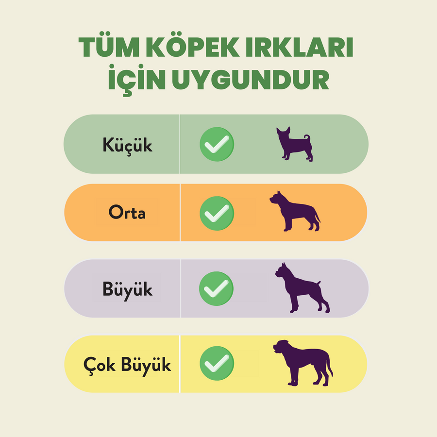 Kito Dana Akciğer Küp Atıştırmalık Köpek Ödül Maması %100 Doğal, Glutensiz, Organik 100 gr