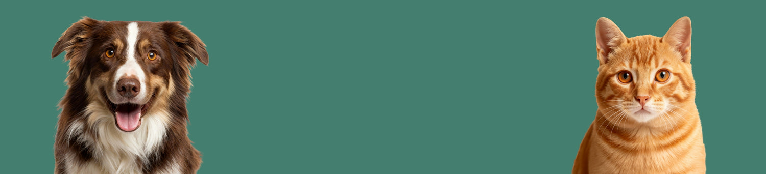Kedi Köpek Koleksiyon Banner