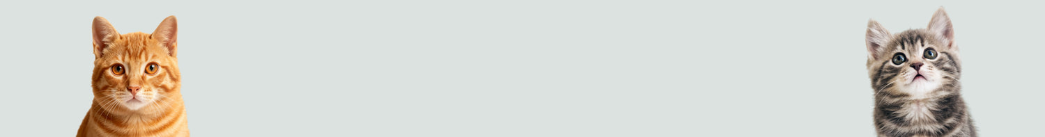 Kedi Koleksiyon Banner