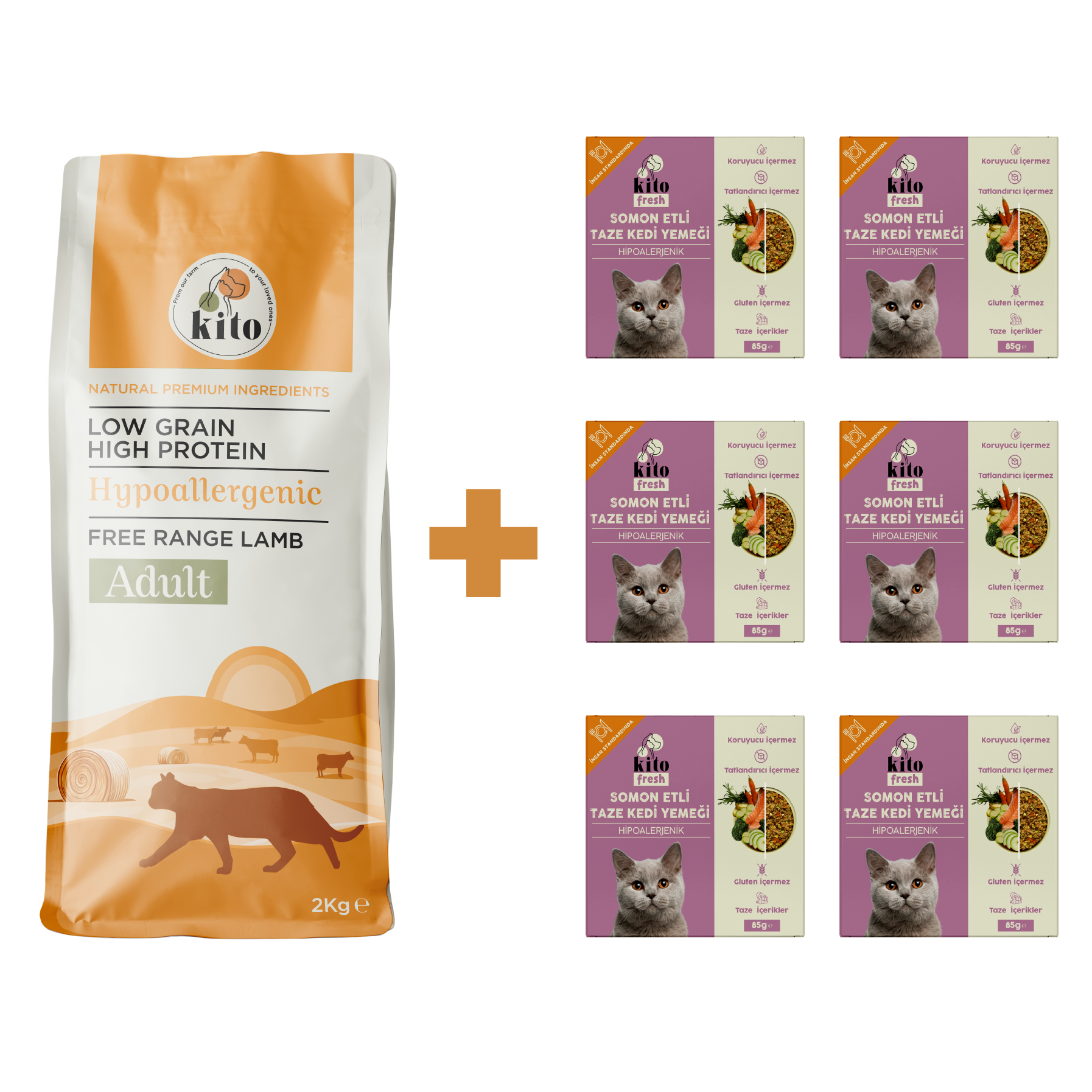 Yetişkin Kedi Maması ve Somon Etli Kedi Yemeği