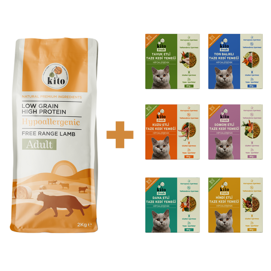 Yetişkin Kedi Maması ve Kedi Kito Fresh Tanışma Paketi