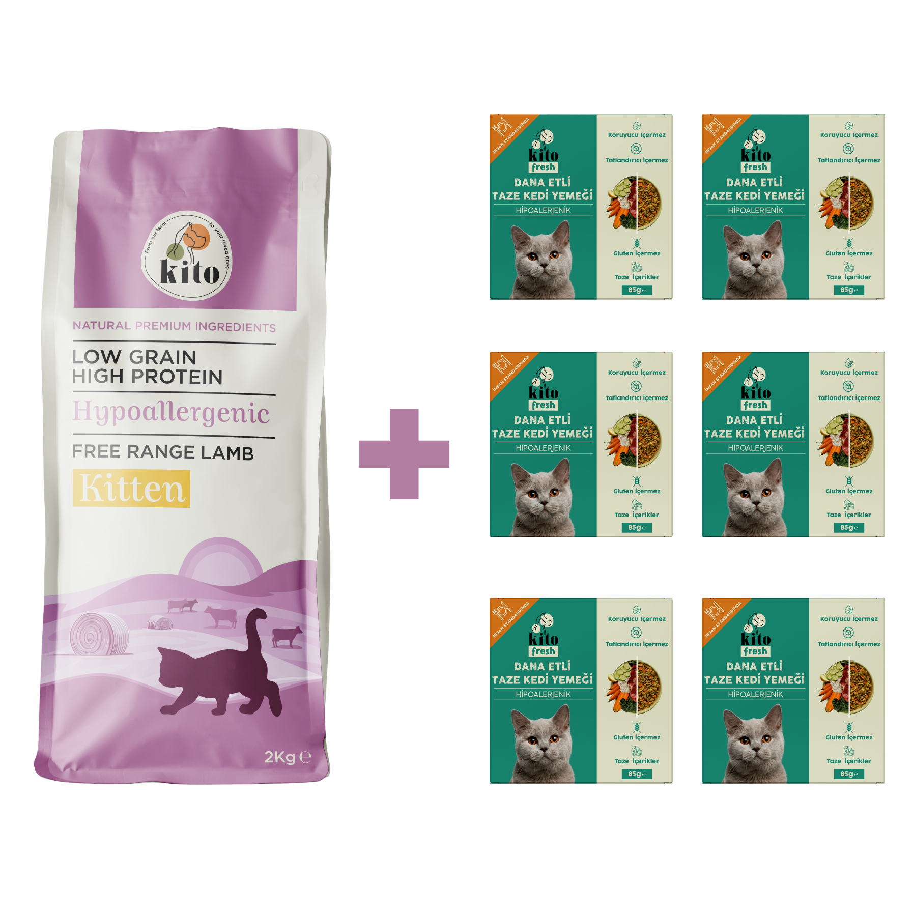 Yavru Kedi Maması ve Dana Etli Kedi Yemeği