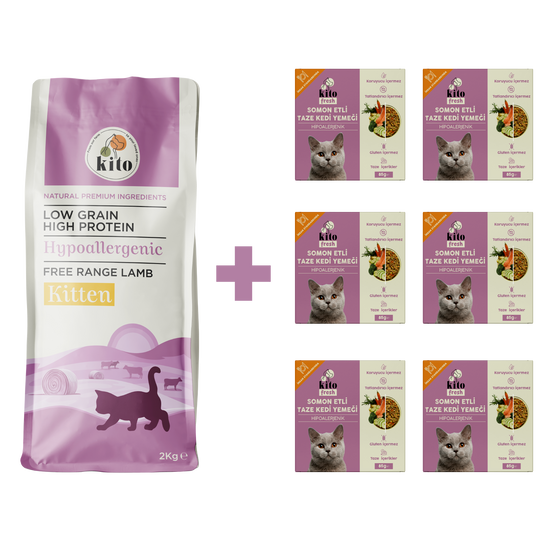 Yavru Kedi Maması ve Somon Etli Kedi Yemeği