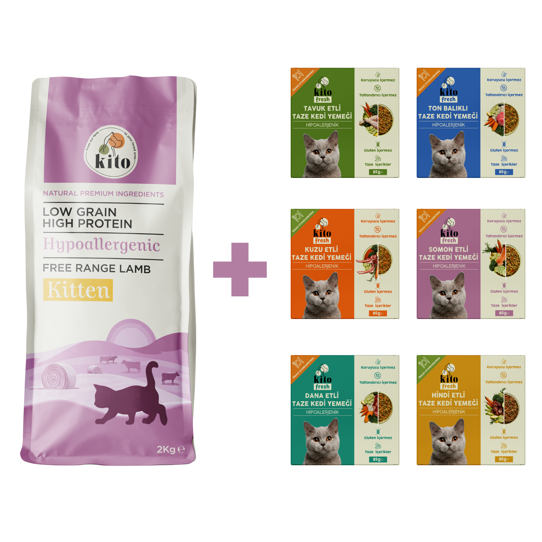 Yavru Kedi Maması ve Kedi Kito Fresh Tanışma Paketi