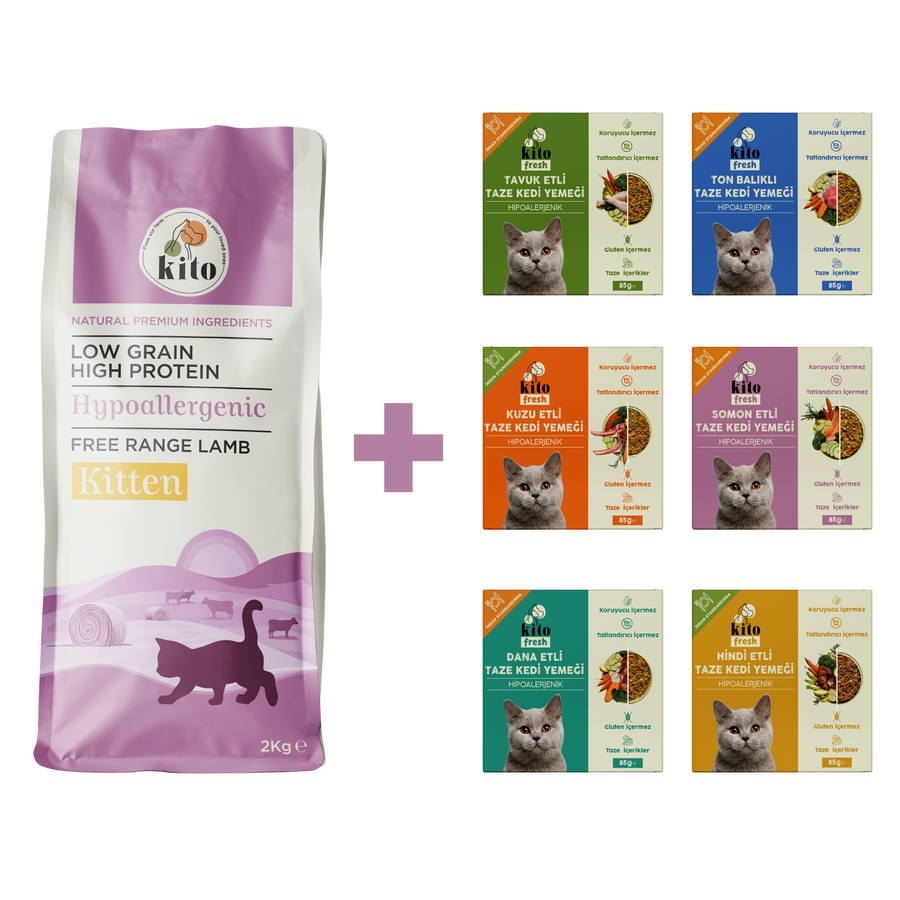 Kitten Food 2 KG + Kito Fresh Introductions Package