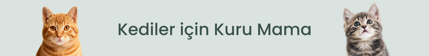 Kediler İçin Kuru Mama