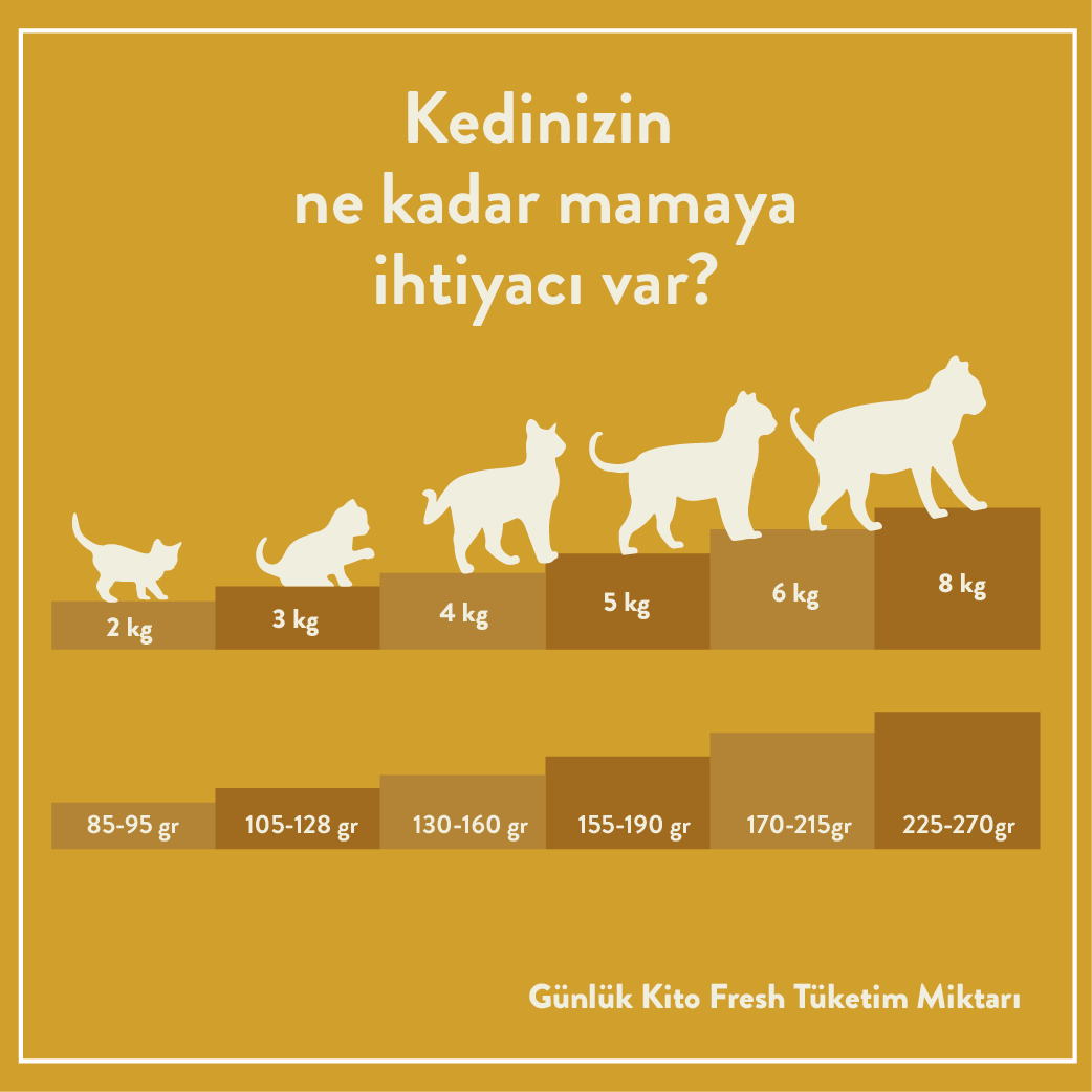 Günlük Kito Fresh Tüketim Miktarı