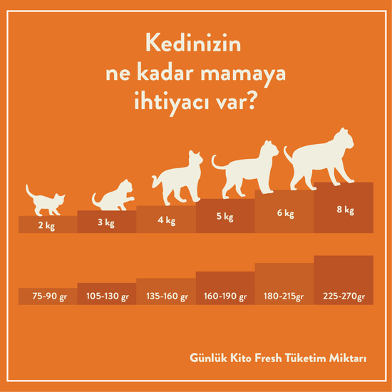 Günlük Kito Fresh Tüketim Miktarı