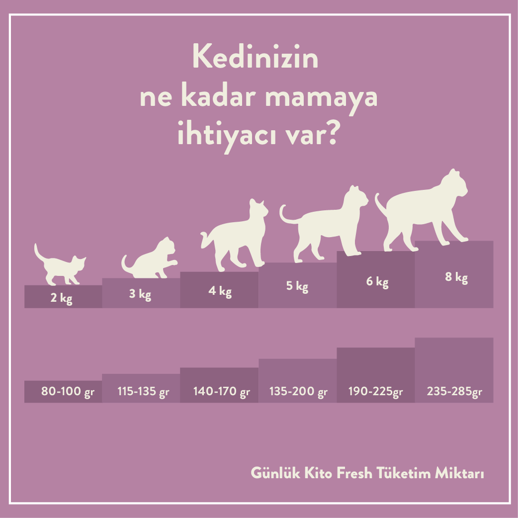 Günlük Kito Fresh Tüketim Miktarı