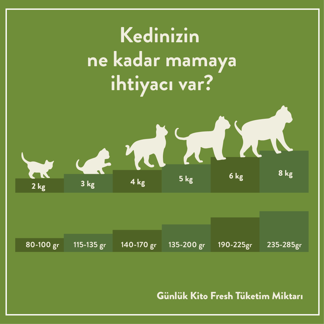 Günlük Kito Fresh Tüketim Miktarı