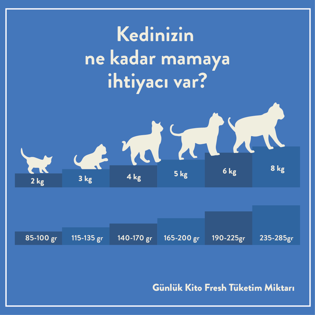 Günlük Kito Fresh Tüketim Miktarı