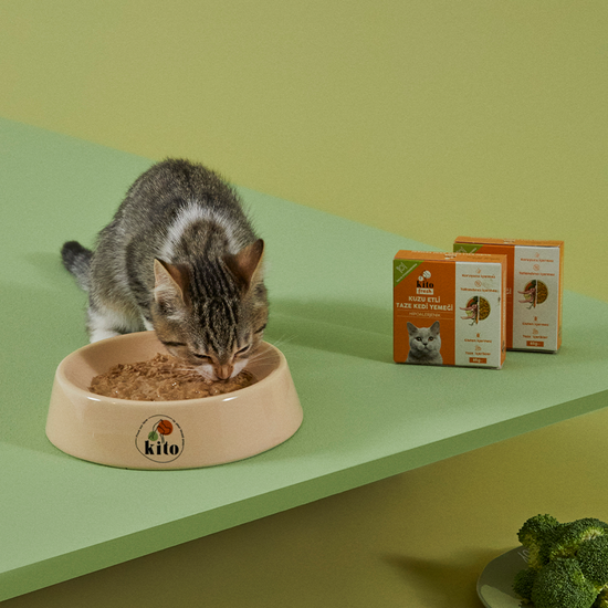 Kuzu Etli Kedi Yemeği