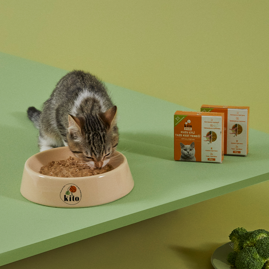 Kuzu Etli Kedi Yemeği